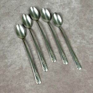 Everbrite Stainless USA Iced Tea Spoons Vintage Floral Cottage Scroll Set of 5